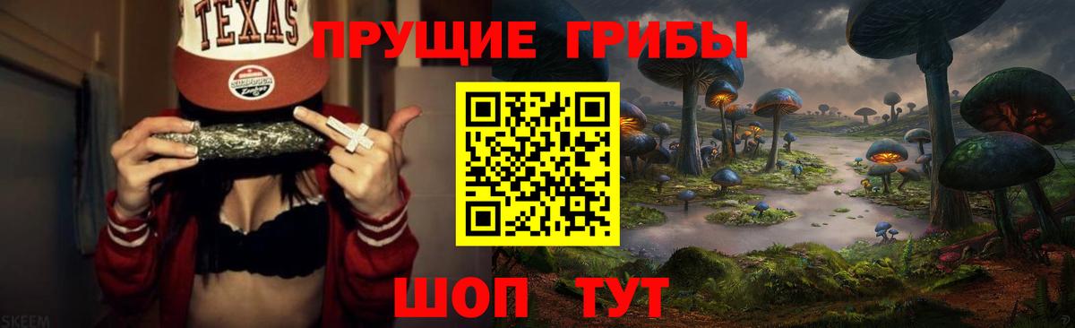 Псилоцибиновые грибы мицелий  Вход с VPN  Выкса 